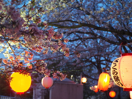 2023.03.28 諌早市高来町 小江神社、小江公園P1010655