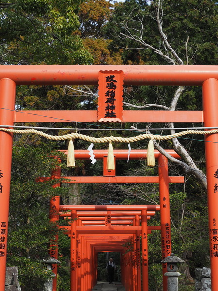 2023.03.04�������������P1011950