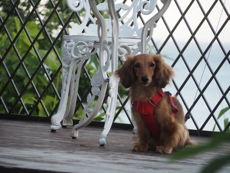 2023.07.11 Ĺºê»ÔÌîÊìºê¡¡ÌîÊì¤ó¤ÁP1019392