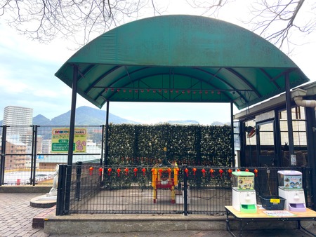 Ĺ����ࡡ����åȤΥ���IMG_8305