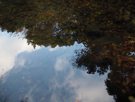 �����ס���Υ�ե쥯�����PB261658