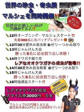 クワガタマルシェ