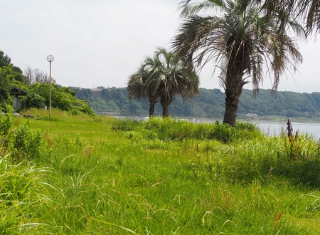 2023.06.10������Կ���Į����γ���P1019665