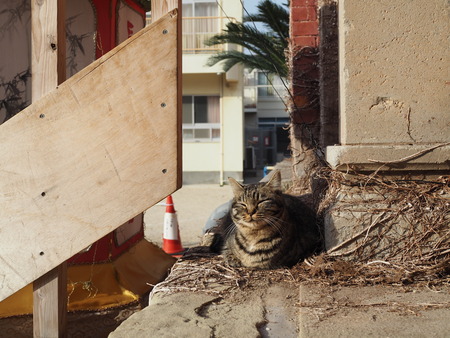 ��Ͳ��ߤ�ǭP1011623