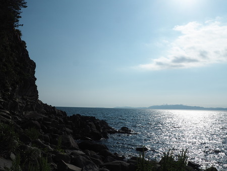 2023.07.24������������Į����곤����쥭���׾�P1018376