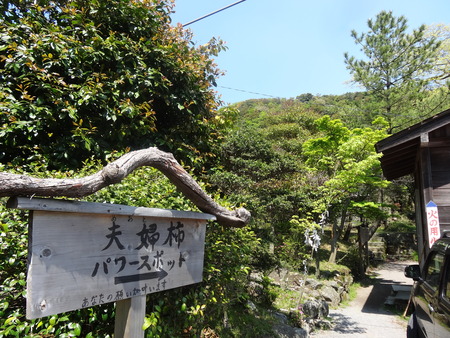 12-DSC01690