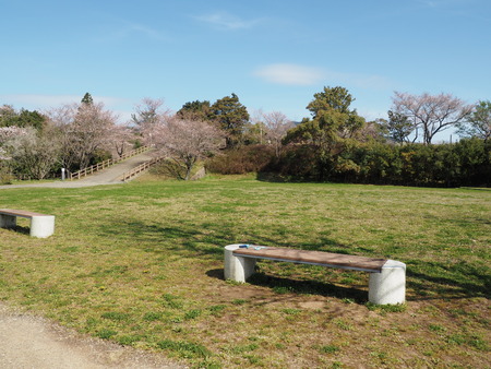 2023.03.24 諌早市 白木峰高原P1018217
