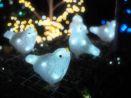 ��¼�ԡ��Ĳ������碌����ߥ͡������PC051369