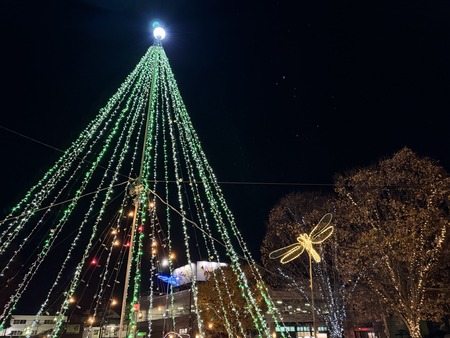 �����Ϥ�����ե��󥿥���IMG_7122