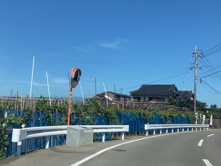 2025.08.16¡¡Âç¼»Ô ¤Õ¤¯¤·¤²¤Ö¤É¤¦±àIMG_1950