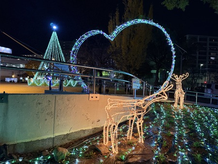 �����Ϥ�����ե��󥿥���IMG_7113