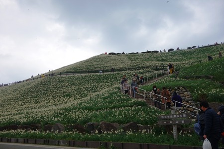15-ޤĤDSC03578