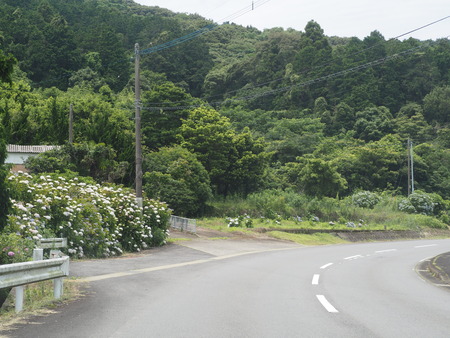 2023.06.10������Կ���Į���ä��������ࡡ���Ĥ�����P1019879