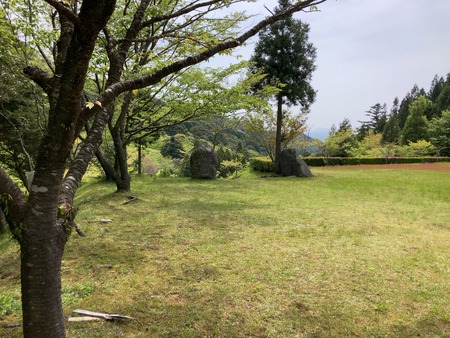 2025.07.19�����ὤ¿��ο�IMG_1295