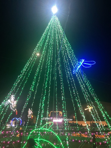 2024.12.08 ����ߥ͡������IMG_0471