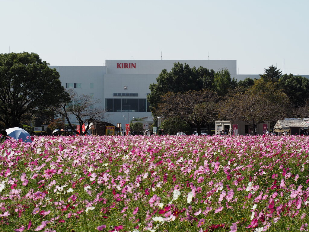 楽しい 美味しい キリンビール福岡工場 工場見学 福岡県朝倉市 長崎 諫早市民 ふくちゃんの食う 寝る 遊ぶ日記