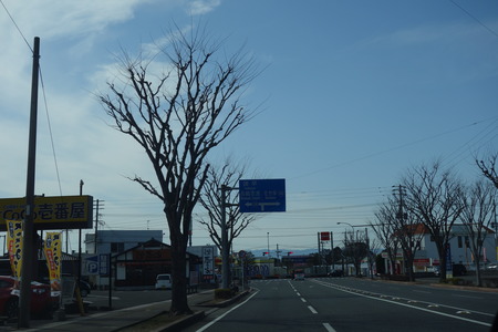 1-春の家DSC00570