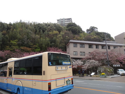 16-ͭ�ϲ���DSC00046