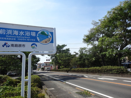 8-DSC06119