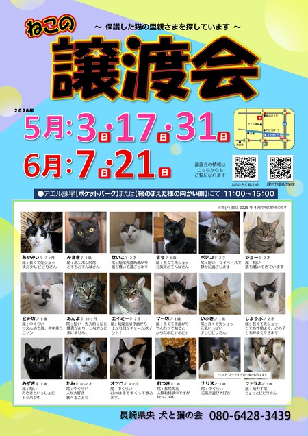 1561bf3307000da9ef8258ea9747a14c_page-0001