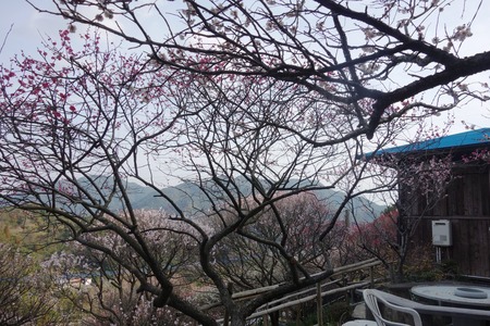 18-虎馬園DSC07654