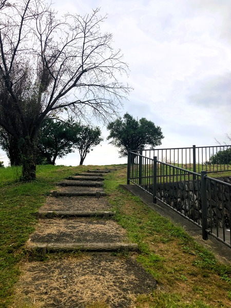 2023.09.30������ԡ��������⸶IMG_9999