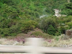 ho-8DSCF1833