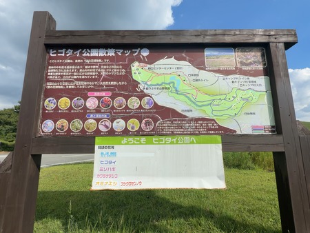 ヒゴダイ公園IMG_4341