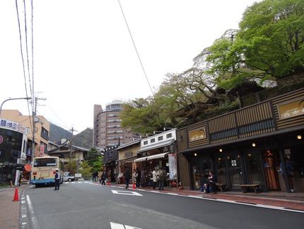 19-ͭ�ϲ���DSC00058