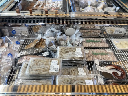 2025.07.21�����ᡡƻ�αء�251������ꤸ�㤬��������IMG_8133