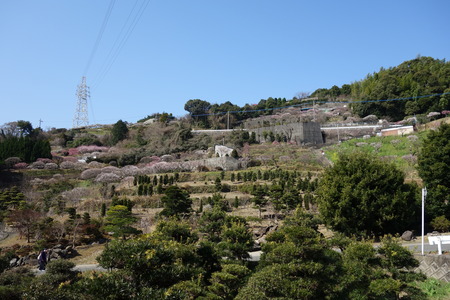 14-虎馬園DSC04890