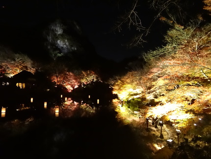 ���ݸ������ڱ�DSC09605