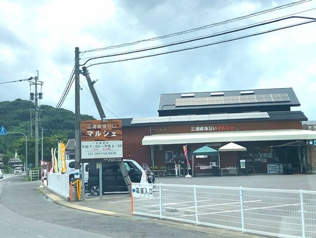 2025.08.12 Âç¼»Ô¡¡»°±º³¤´ßÀþ¥Þ¥ë¥·¥§IMG_0557