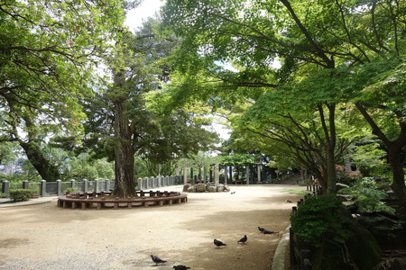 £µ-·î¸«Ãã²°DSC09475