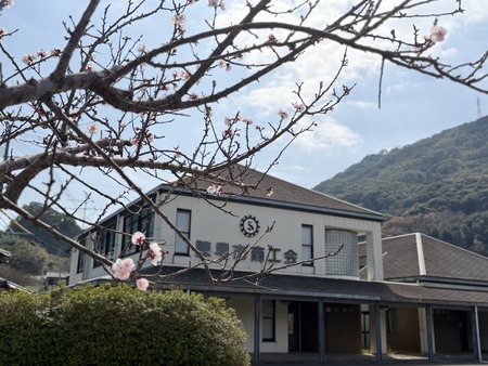 ����Ծ��������ΰɤβ�IMG_1315