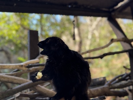 Ĺ��Х����ѡ�������������IMG_0155