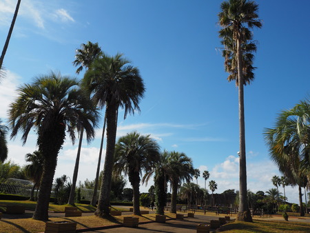 2021.11.14 �����ݻԡ��彽����ư��ʪ�ࡡ�������PB136668