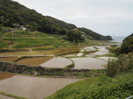 2023.05.04 平戸市 春日の棚田P1017267