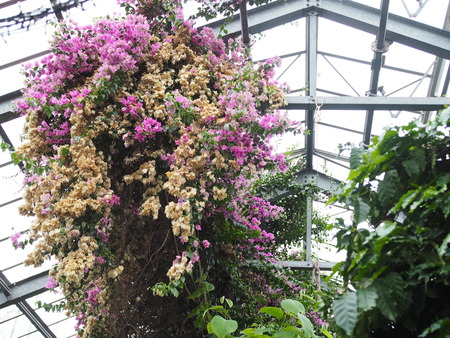 2024.07.02 大村市 長崎スコーコーヒーパークP1010730