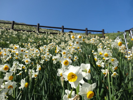 15-�����DSC00557