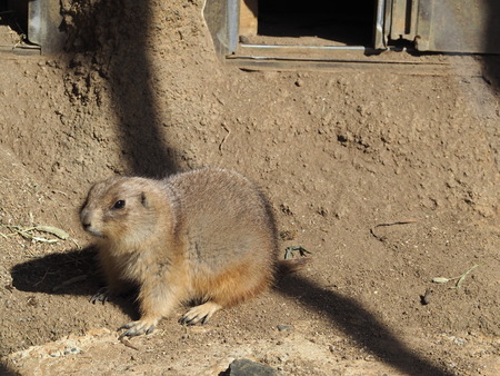 2021.11.14 �����ݻԡ��彽����ư��ʪ�ࡡ�������PB136388