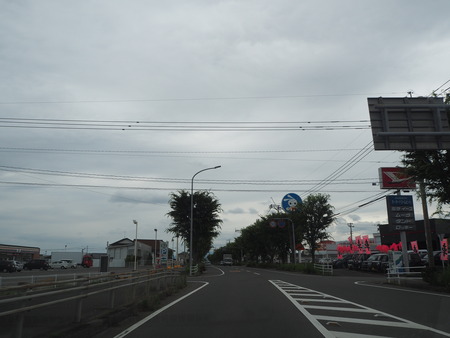 2021.06.19 大村市ひまわりP6154185