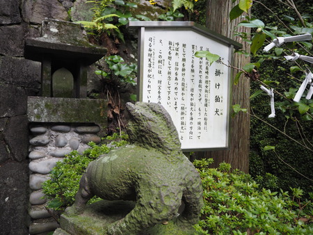 23-Ĺºê»Ô¡¡´ê³Ý¤±¹ý¸¤P1030243