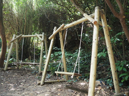 2023.07.29Ĺ��԰˲��硡�ץ쥸�㡼�������ɥߥ塼������P1010867