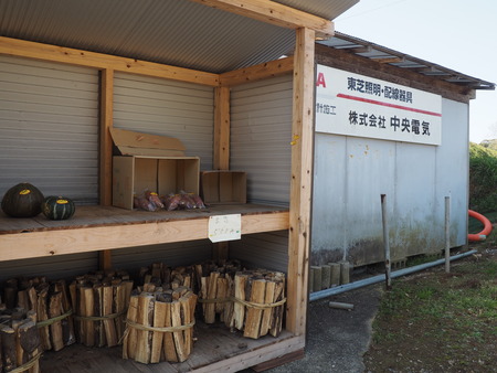 2024.03.16 大村市東大村 松本さん桃の花P3166161