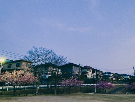 2022.03.04 大村市 久原公園IMG_0315