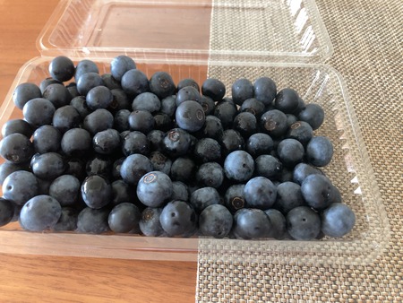 2023.08.29 ����Ծ�Ĺ��Į�����ӥ֥롼�٥꡼��IMG_7405