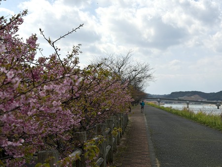 º´¡¹Ä®¤Î²ÏÄźùIMG_0858