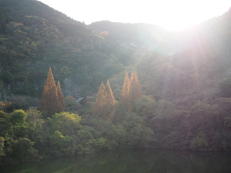 2024.12.07 嬉野市 岩屋川内ダムのゴジラPC080144