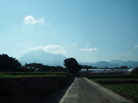 7-Å縶»ÔÍÌÀÄ®¡¡¥µ¥Ä¥¤È¥á¥¤¤Î²È¡¡Êª¸ì¥Ï¥¦¥¹PB094342